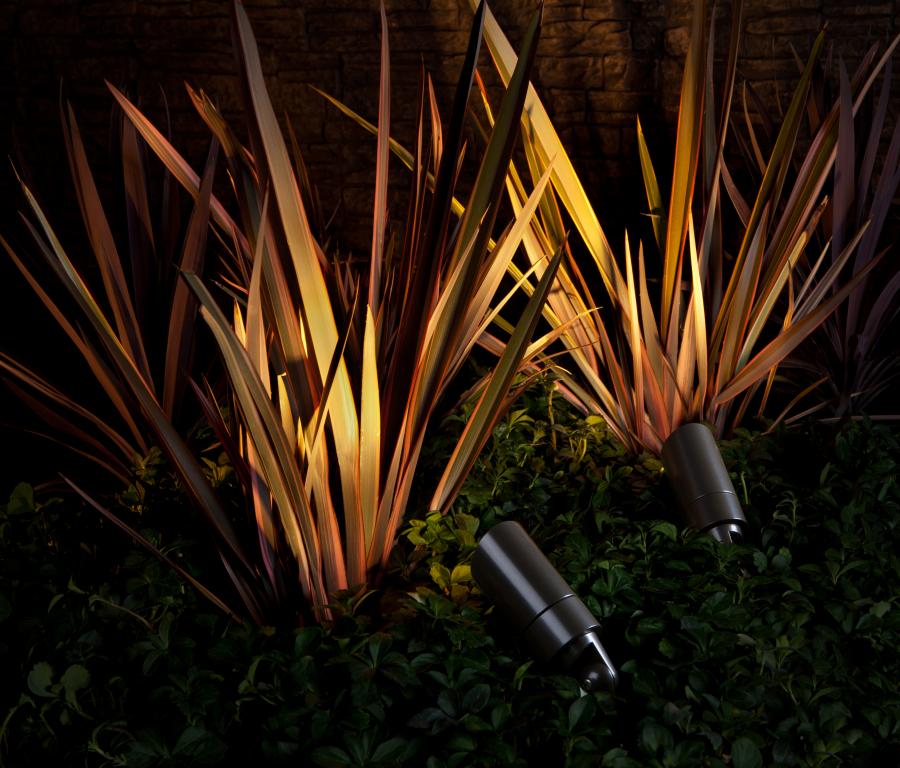 Garden lights for Sydney